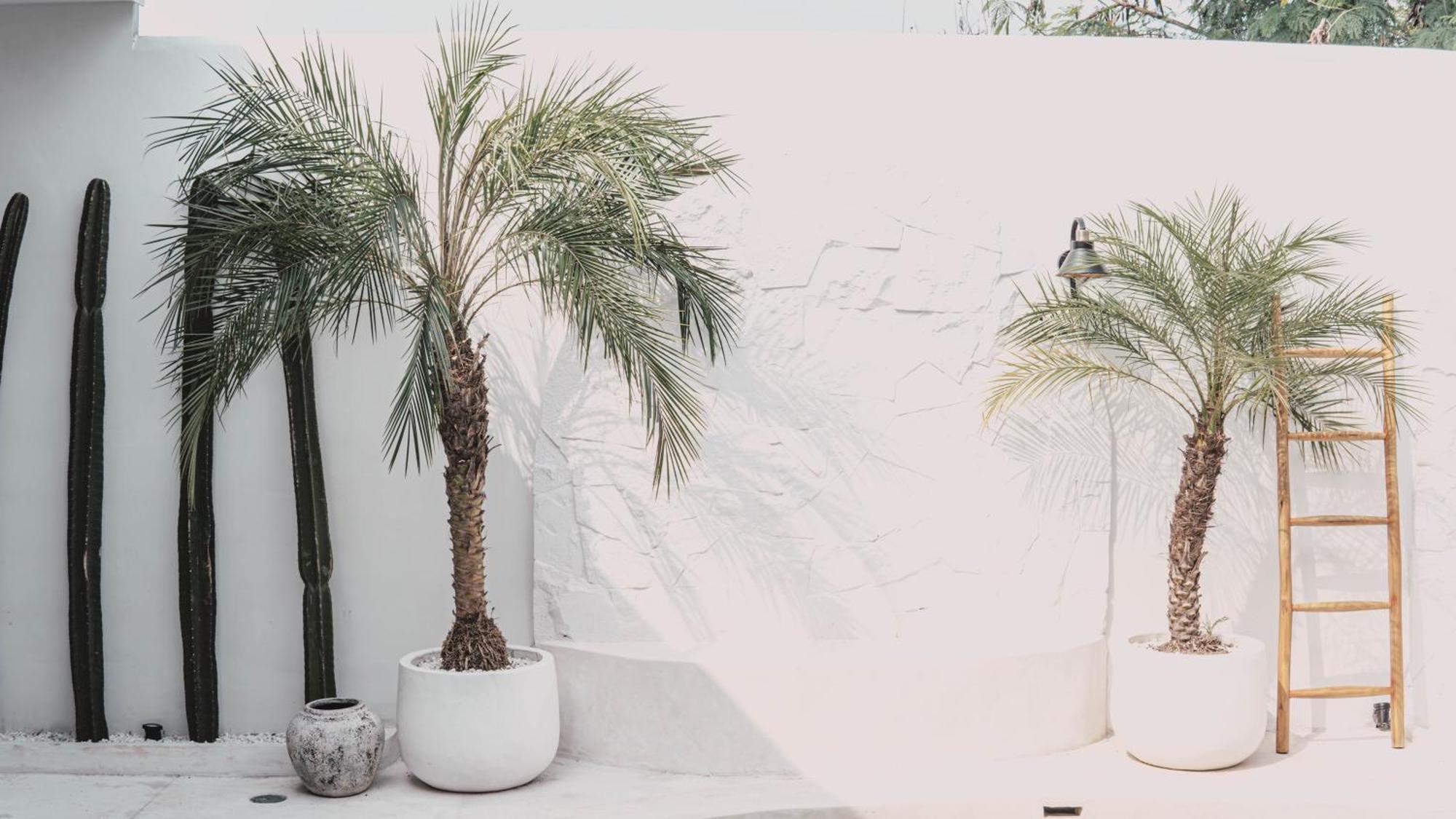 Bohemian Jogja Villas With Private Pool Kejayan Екстериор снимка